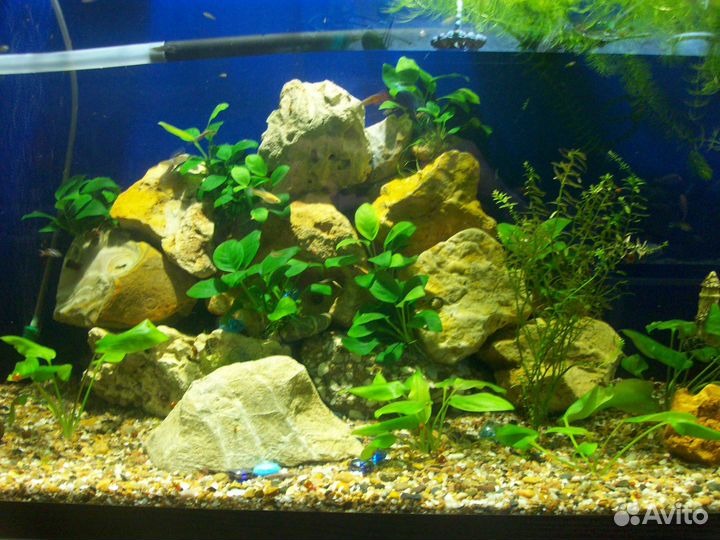 Аквариум с тумбой 400 литров