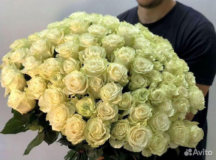 Розы гиганты 140 150 160 170 180 200