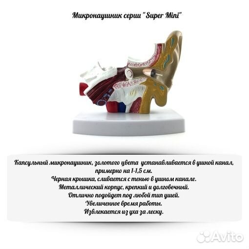 Микронаушник для экзамена с пищалкой