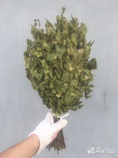 Крафт веники (запарки) пихта, береза, дуб, можжеве