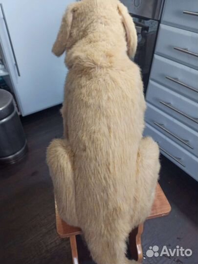 Интерактивная Собака робот