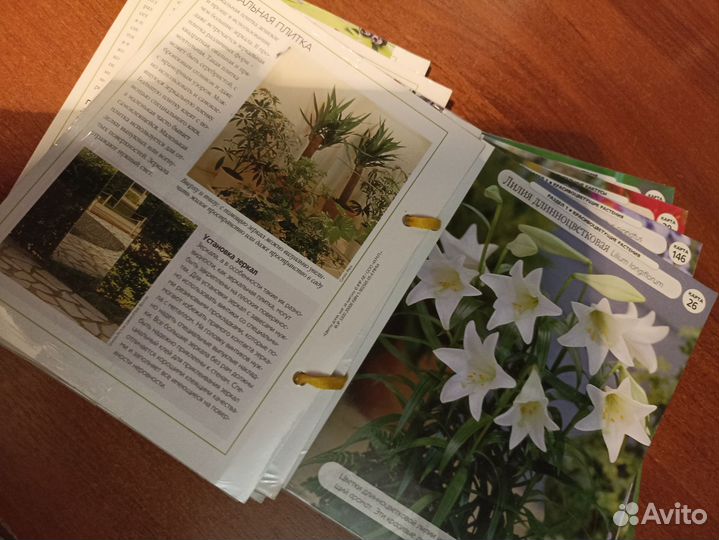 Серия по садоводству, растения