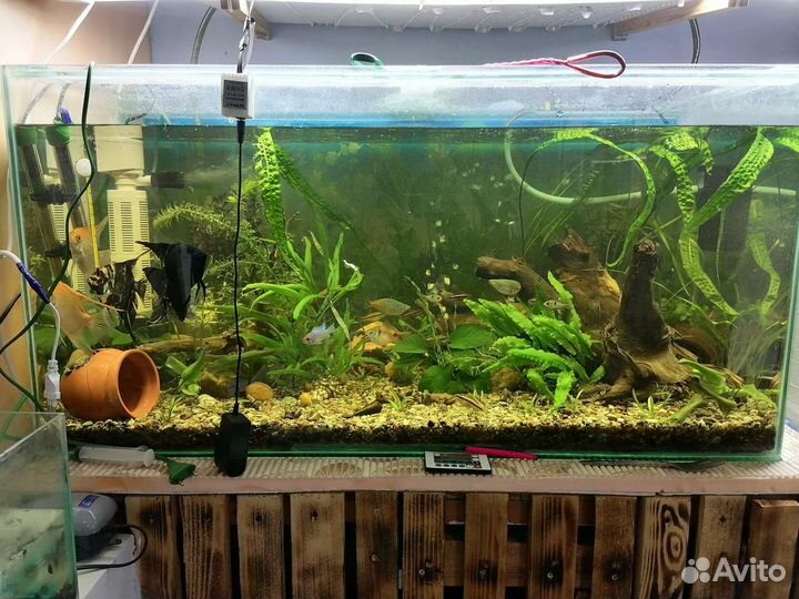 Аквариум