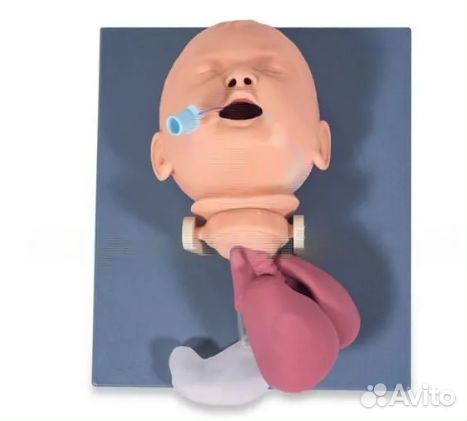 Манекен младенца для эндотрахеальной интубации