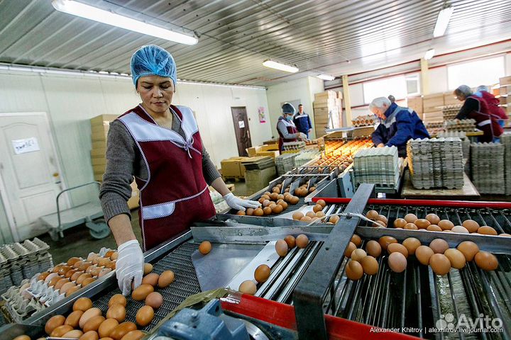 Подсобный рабочий на производство