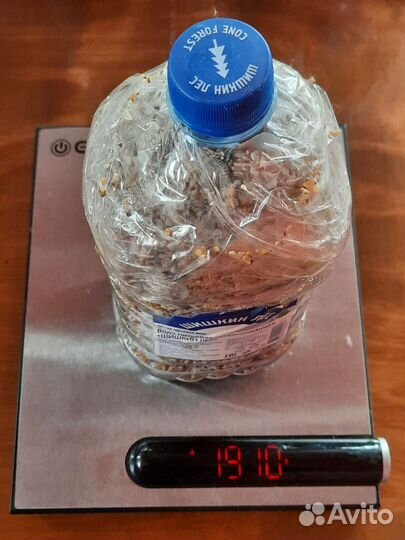 Песок крупный, ракушки для творчества и аквариума