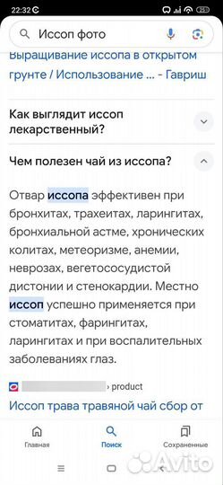 Иссоп