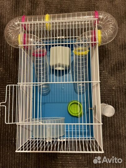 Клетка для джунгарика