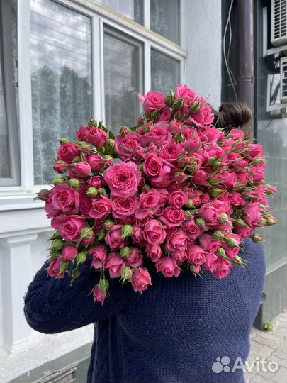 Кустовые розы