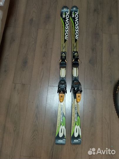 Горные лыжи