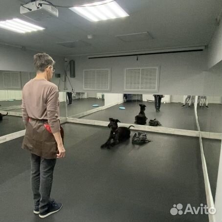 Кинолог / передержка с дрессировкой