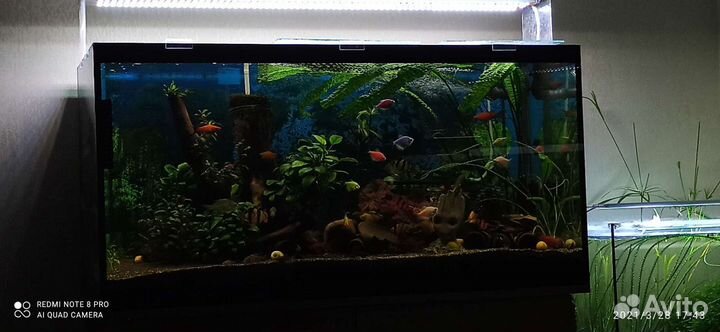 Аквариум