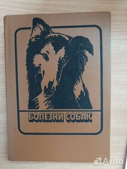 Болезни собак