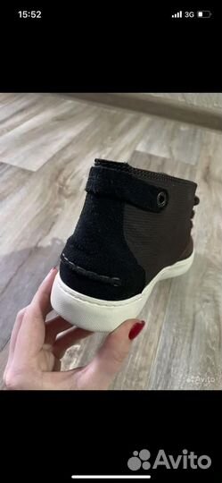 Lacoste кеды мужские