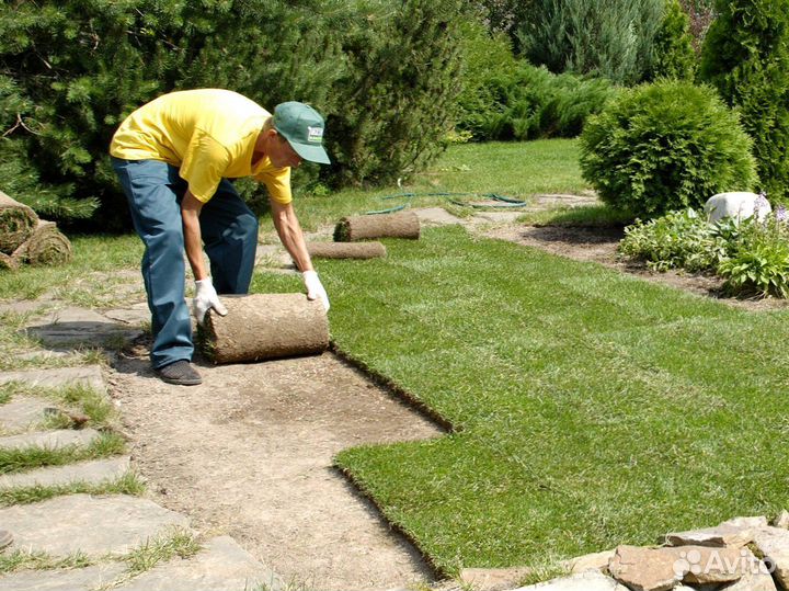 Рулонный газон с укладкой от производителя