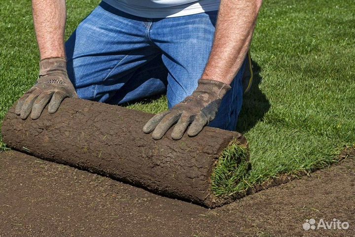 Газон от производителя