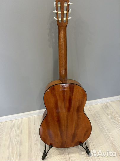 Классическая гитара Cort AC100SG