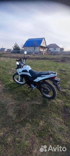 Racer Ranger 250cc