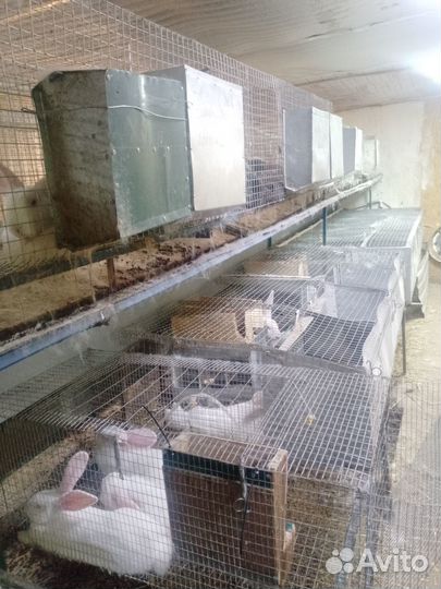 Клетка для кролика