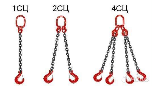 Цепные пауки