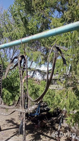 Сбруя для лошади