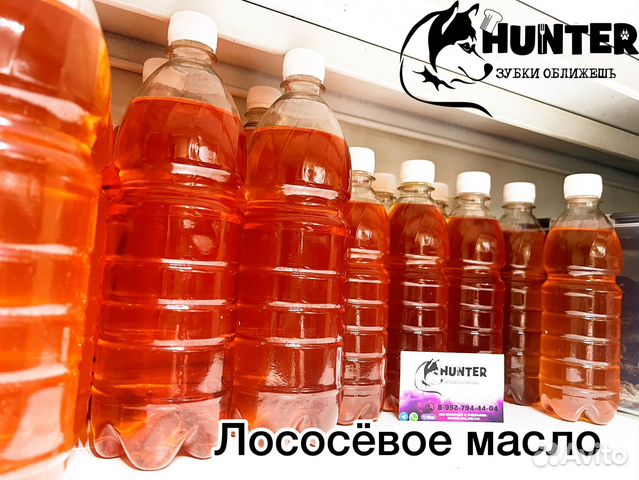 Лососевое масло купить в Калининграде | Животные и зоотовары | Авито
