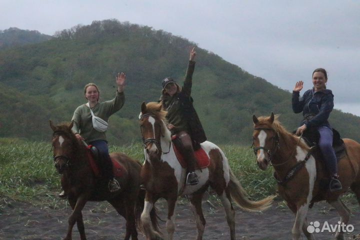 Конные прогулки к Океану