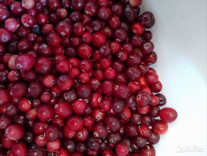 Клюква свежая