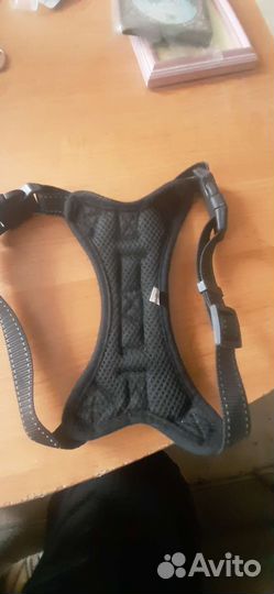 Шлейка для собаки