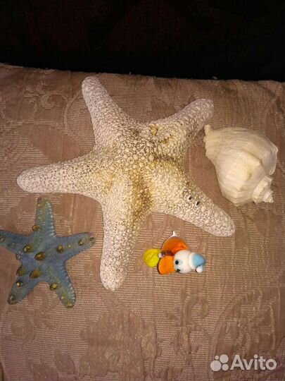 Набор ракушек