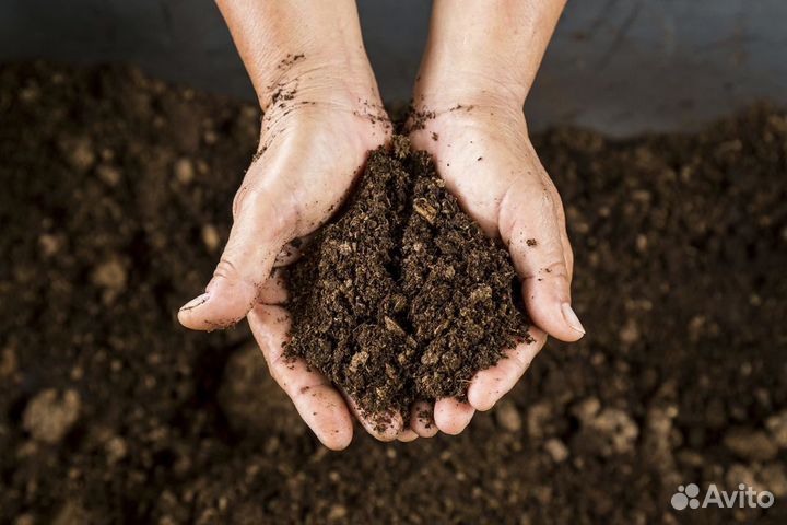 Торфокуриная смесь