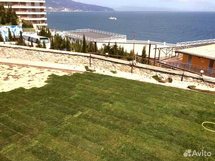 Рулонный газон