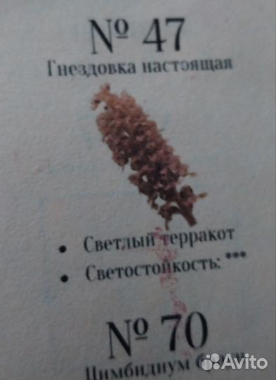 Пастель earthberry