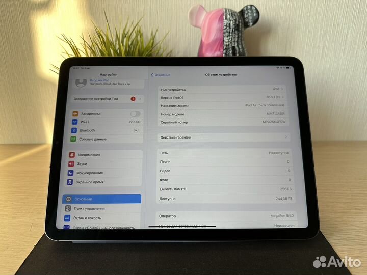 iPad Air 5 M1 2022 256gb Cellular (Sim)