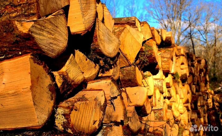 Дрова в Сертолово