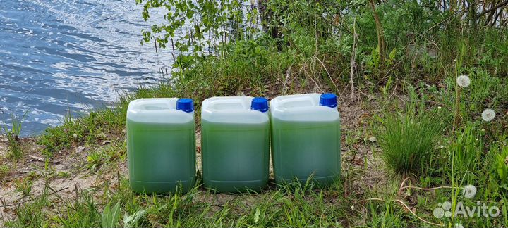 Хлорелла для водоемов