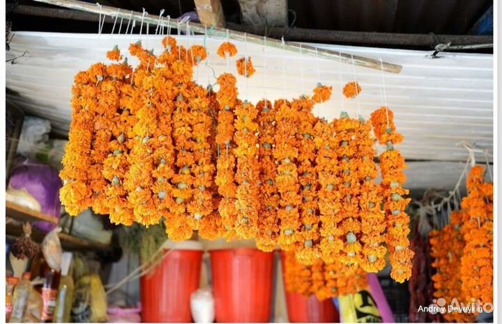 Специи и приправы грузинские