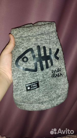 Одежда для собаки