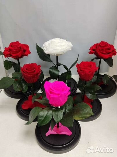 Роза в колбе оптом
