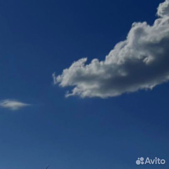 Труба стальная 920х16 мм