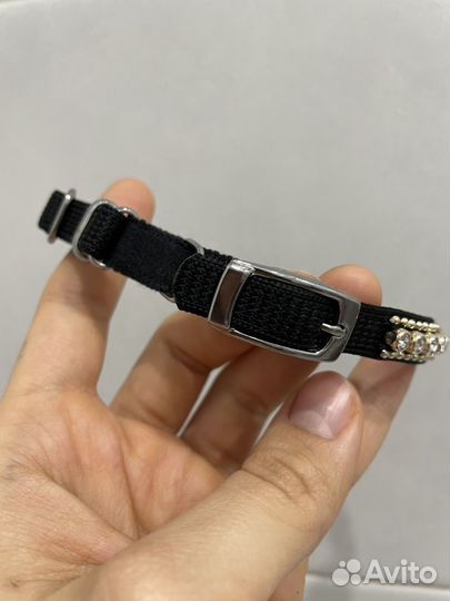 Ошейник для маленьких собак и кошек