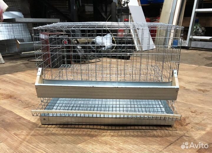 Клетка для перепелов