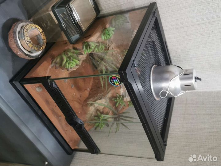 Террариум для рептилий (Хабитат Panteric)