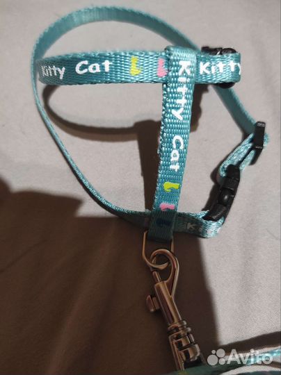 Шлейка для котенка