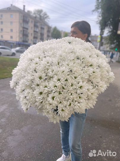 Гигант букет из кустовой хризантемы