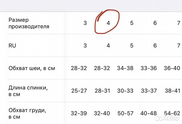 Одежда для собак