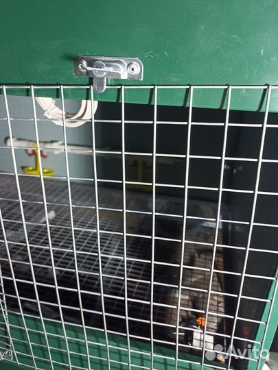 Брудер для цыплят новый