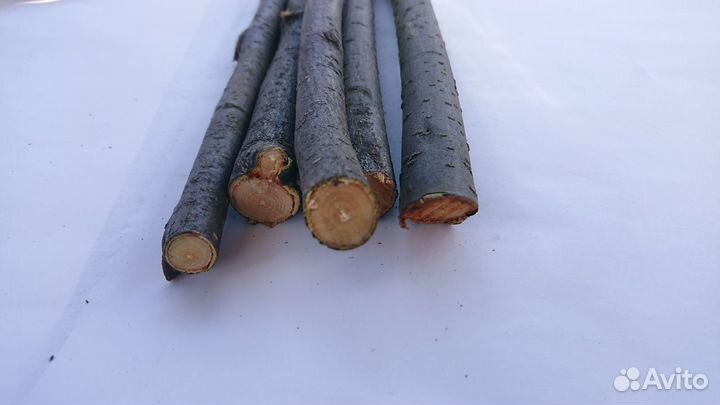 Веточки яблони для грызунов (кролика шиншилл и др)