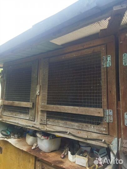 Клетки для кроликов бу