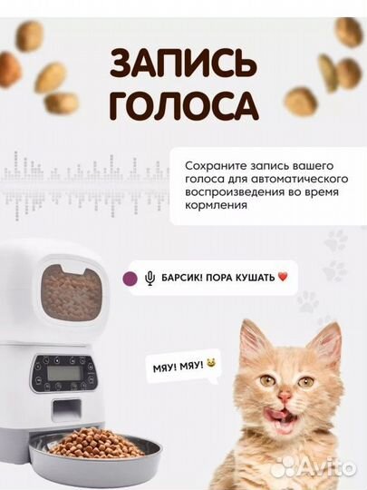 Автоматическая кормушка, новая